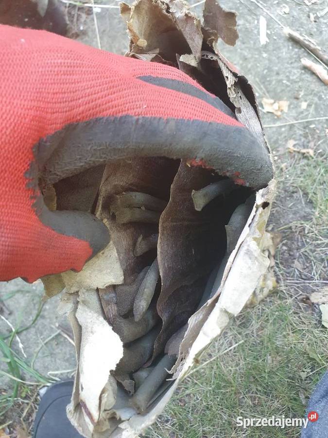 Masa uszczelniająca Autokit Uszczelniacze Warszawa