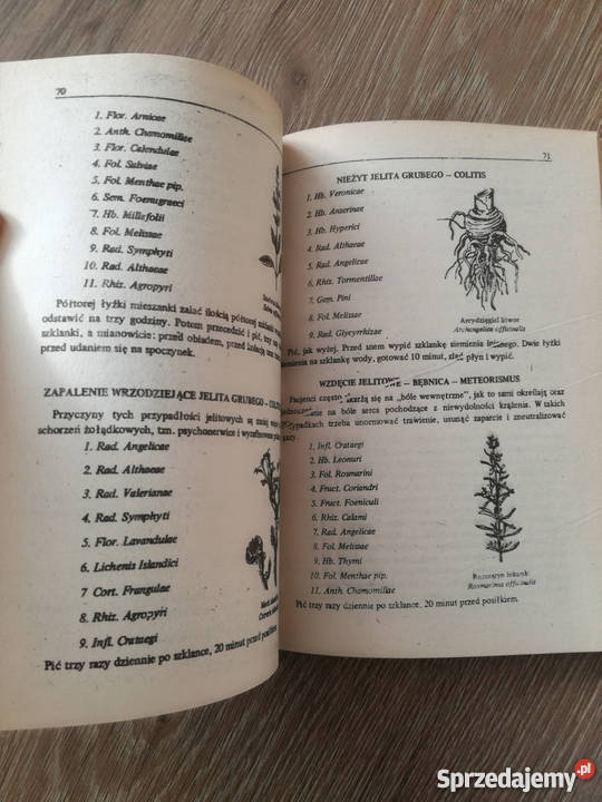 Ziołolecznictwo Czesław Andrzej Klimuszko zdrowie, pierwsza pomoc Bądkowo sprzedam