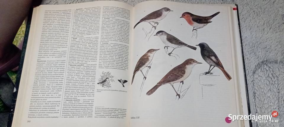 Świat Zwierząt Częstochowa