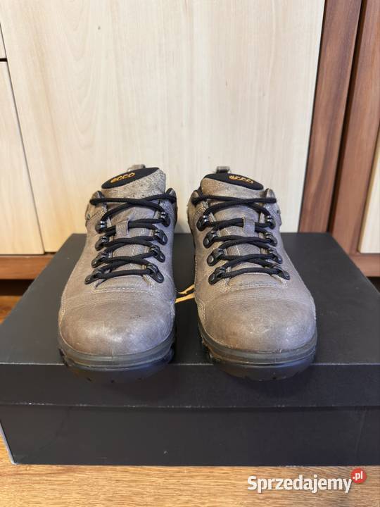 buty trekkingowe Ecco Terra gtx Wrocanka