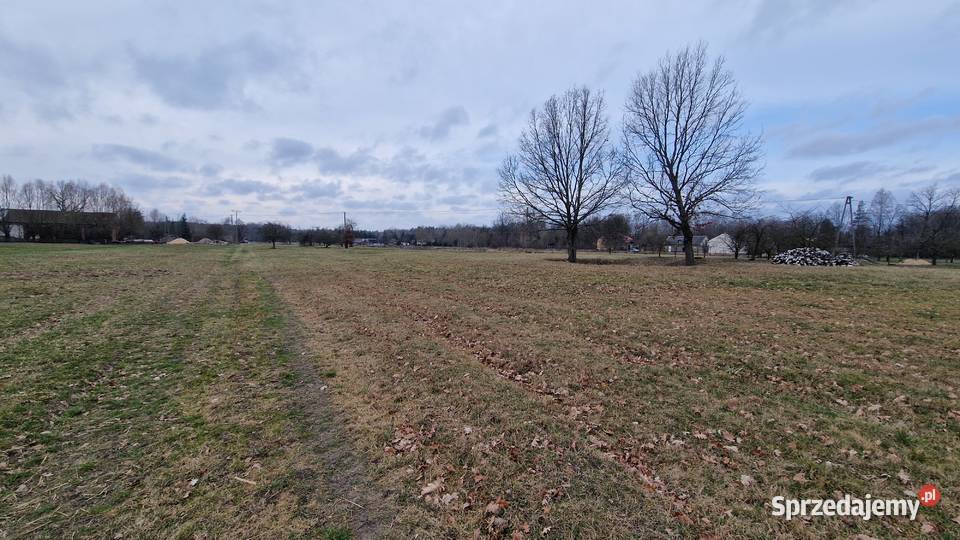 Sprzedam działkę 9243m2 Gąsocin 60 Warszawy mazowieckie Koźniewo Średnie