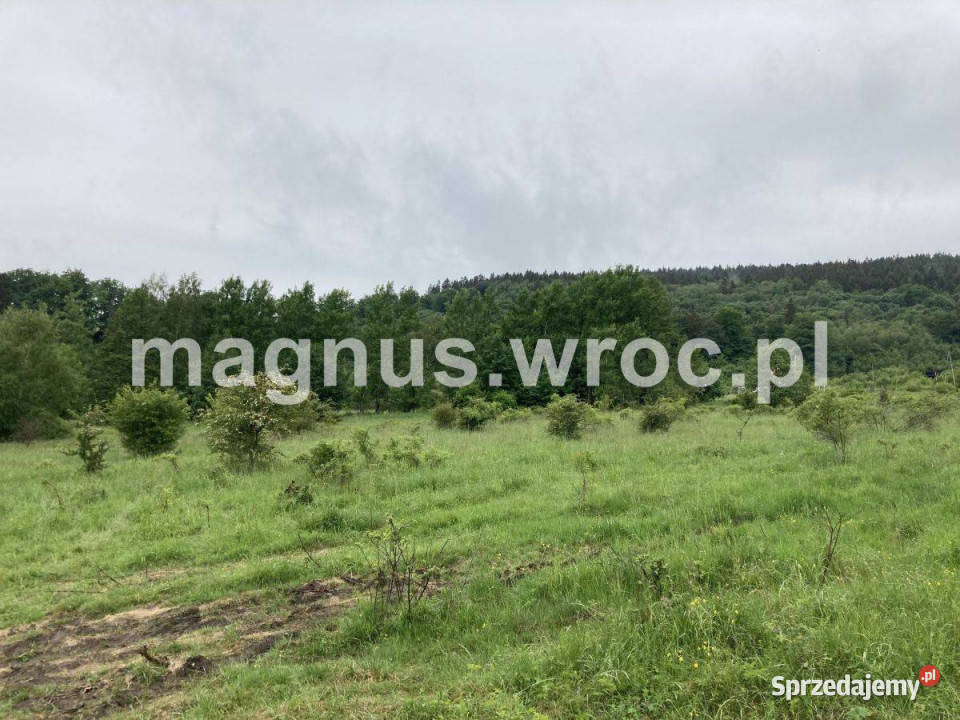Działka w Łomnicy Łomnica