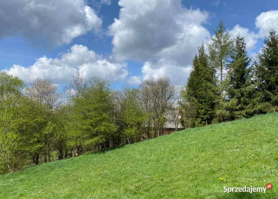 Dom na sprzedaż miejscowość Czarna powiat Czarna Górna