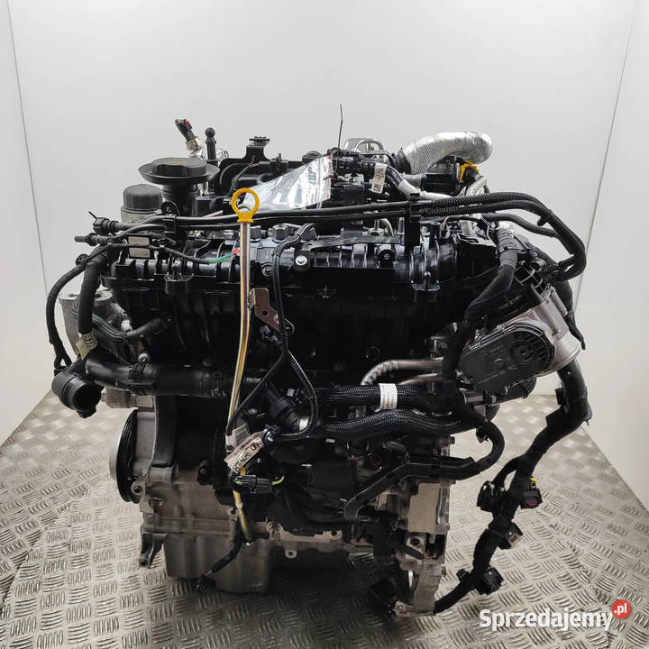 Silnik Land Rover Range Rover Evoque L551 20L Poznań sprzedam