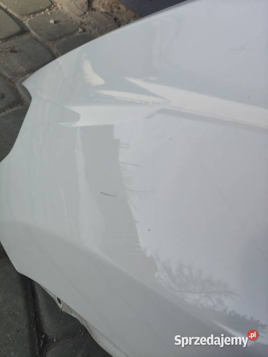 bmw X3 G01 Blotniki lewy prawy A300 kolor Garwolin