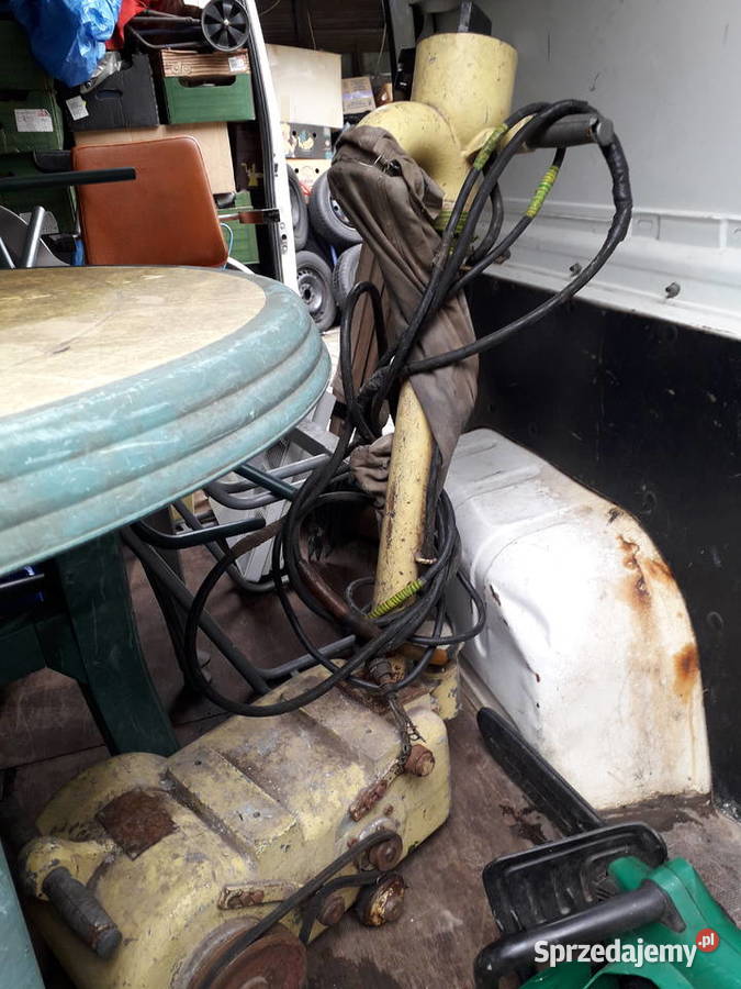 Cykliniarka złotej rączki