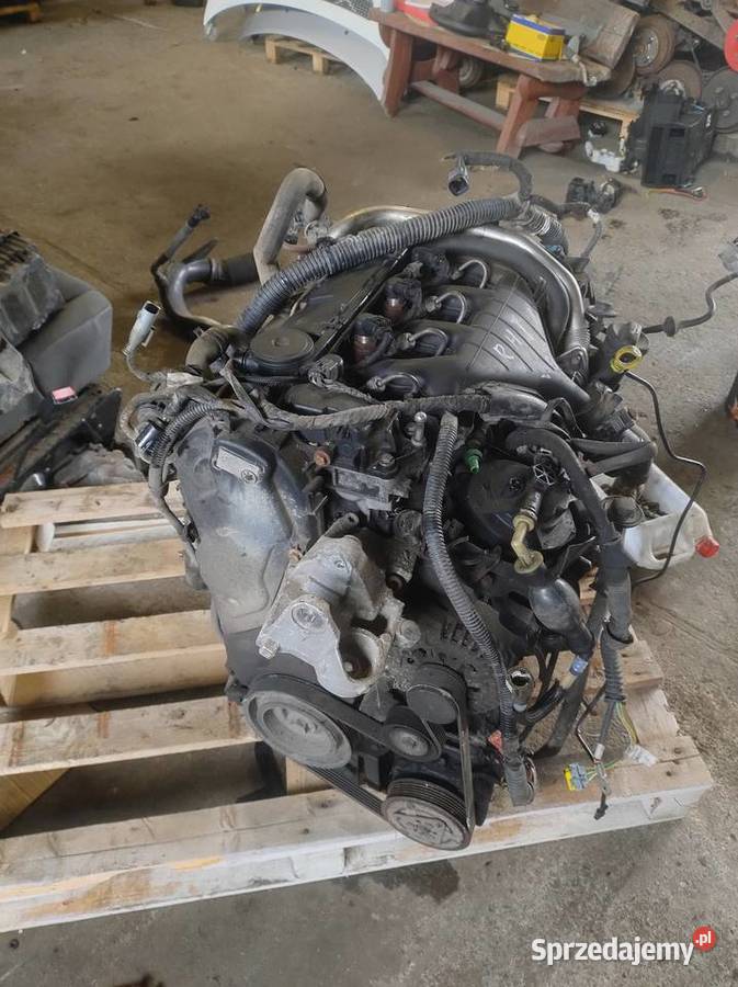Silnik Słupek RHK 20 HDi Citroen JumpyFiat Elbląg