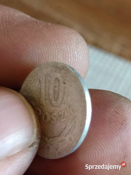 Sprzedam monete 10 groszy 1963 ffff Chełm