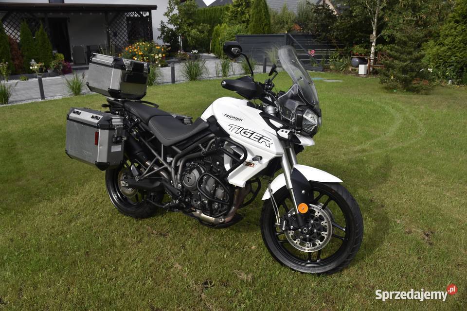 Triumph 800 xrt rama dokumenty