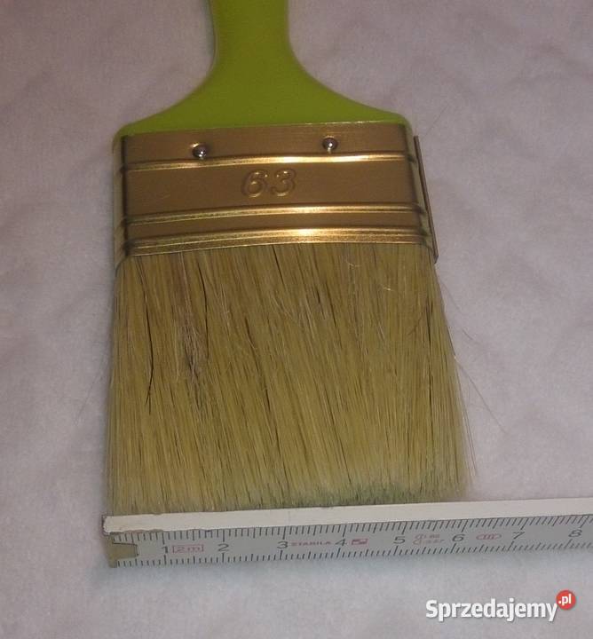 Pędzel angielski 63mm plastikowy trzonek Ręczne Czeladź