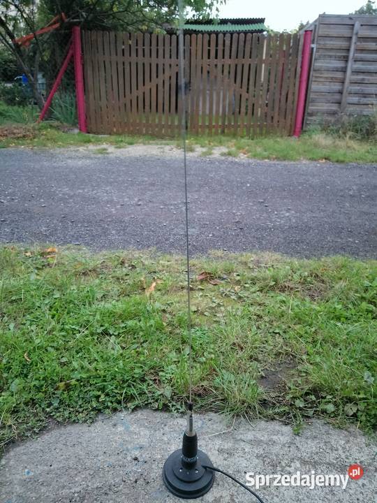 Antena sibi Zielonka