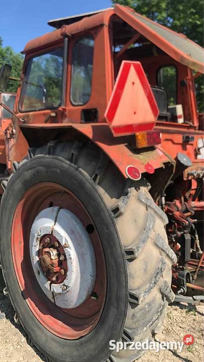 MTZ 80 z Niemiec sprawny Lwówek Śląski sprzedam