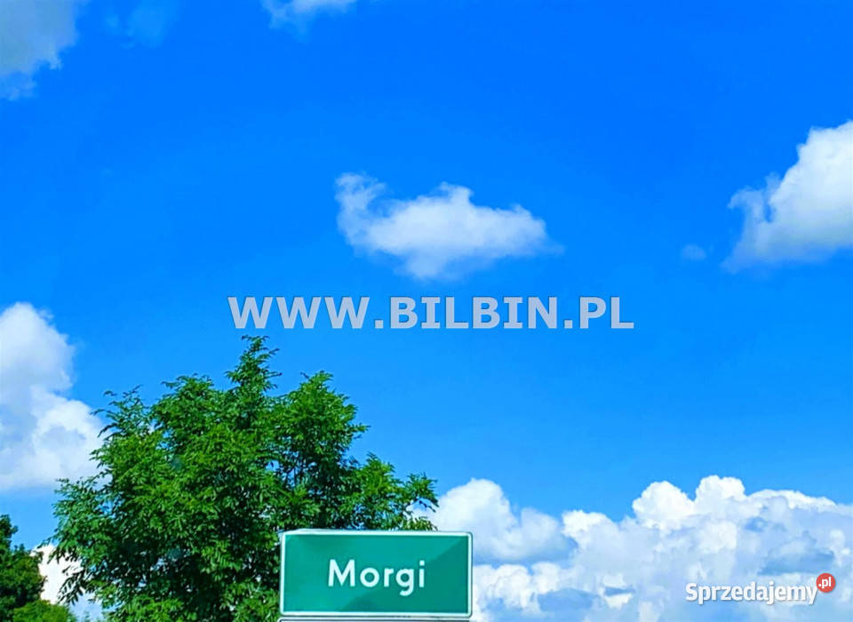 Grunt Morgi 9101m2 rolna sprzedam