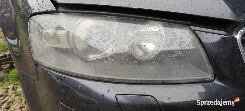 Xenon Audi a3 8p śląskie