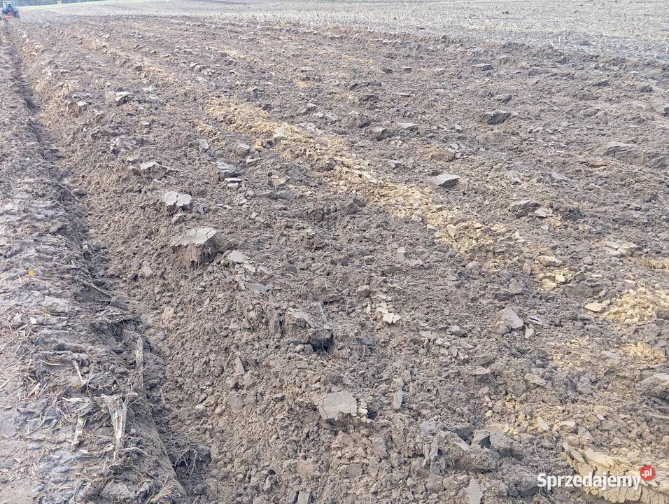 Pług 4 skibowy staltech nowy 2014 r mazowieckie