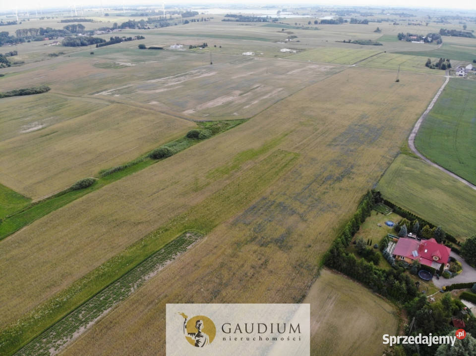 Działki przemysłowe PSSE Sztum