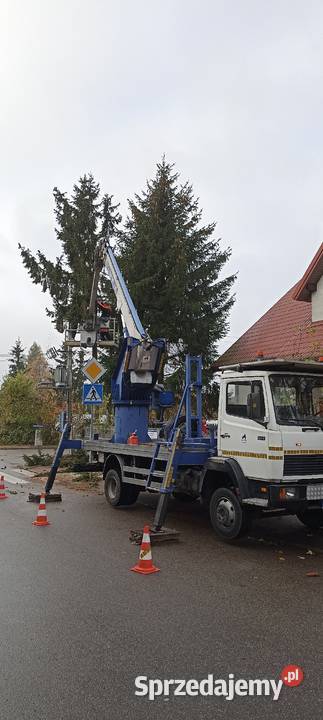 Wycinka drzew usuwanie gałęzi pielęgnacja drzew