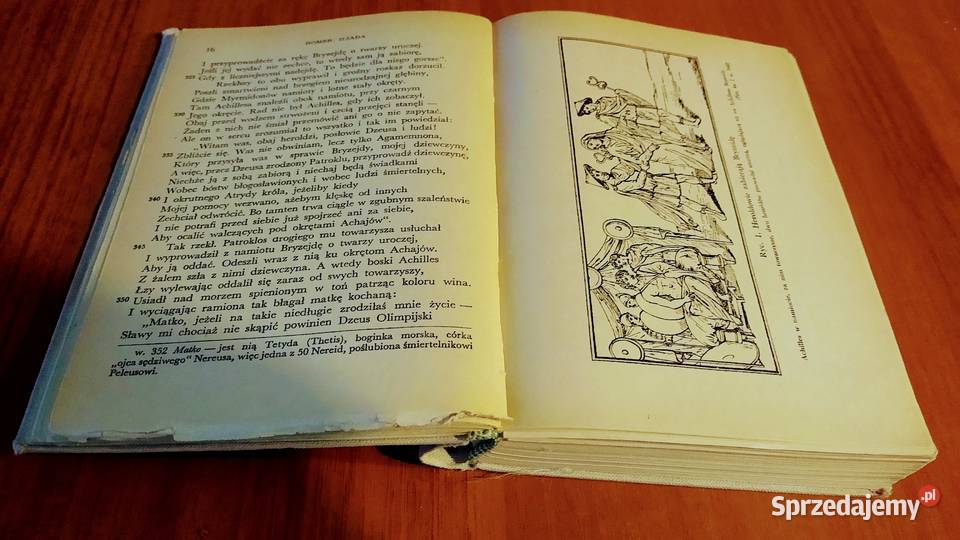 Iliada Homer Biblioteka Narodowa Seria 2 17