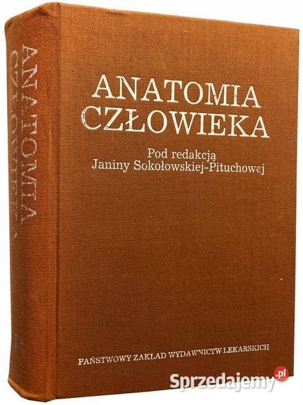 Anatomia człowieka SokołowskaPituchowa J