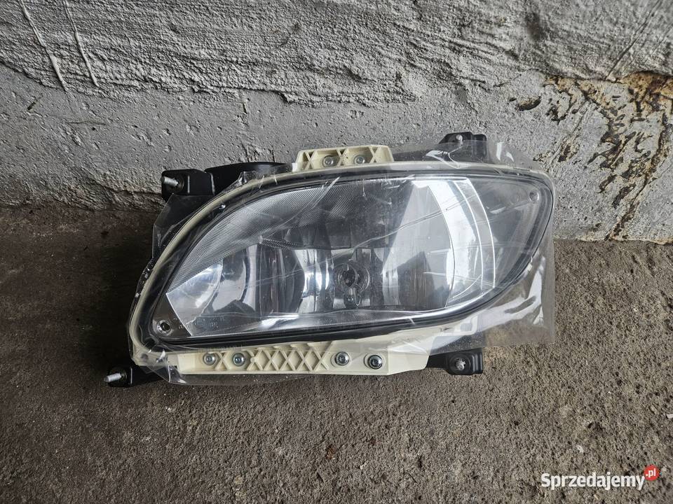 Halogen Lewy DAF XF