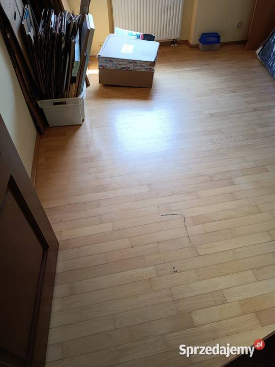 parkiet 18 M2 sprzedam Poznań