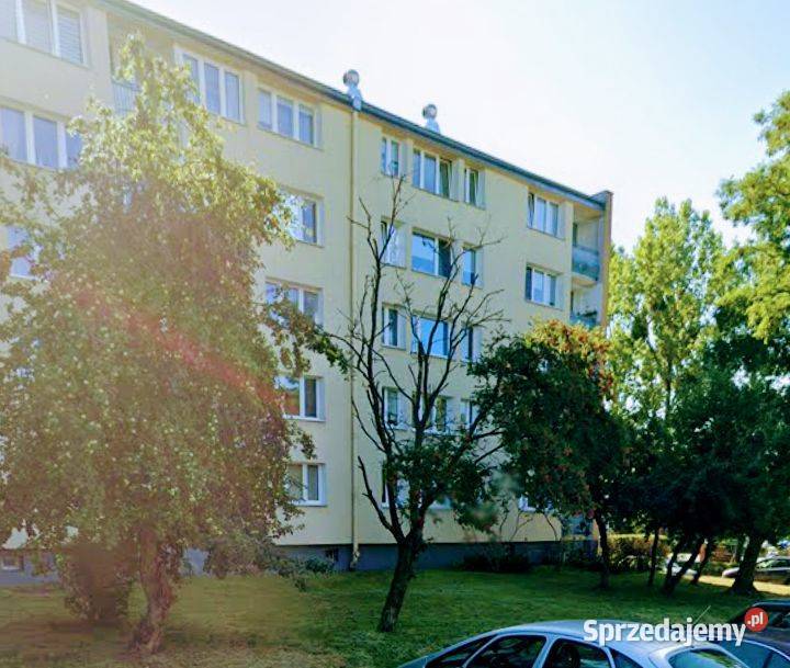Mieszkanie Kossaka Dąbrowa M3 3764m2 Łódź
