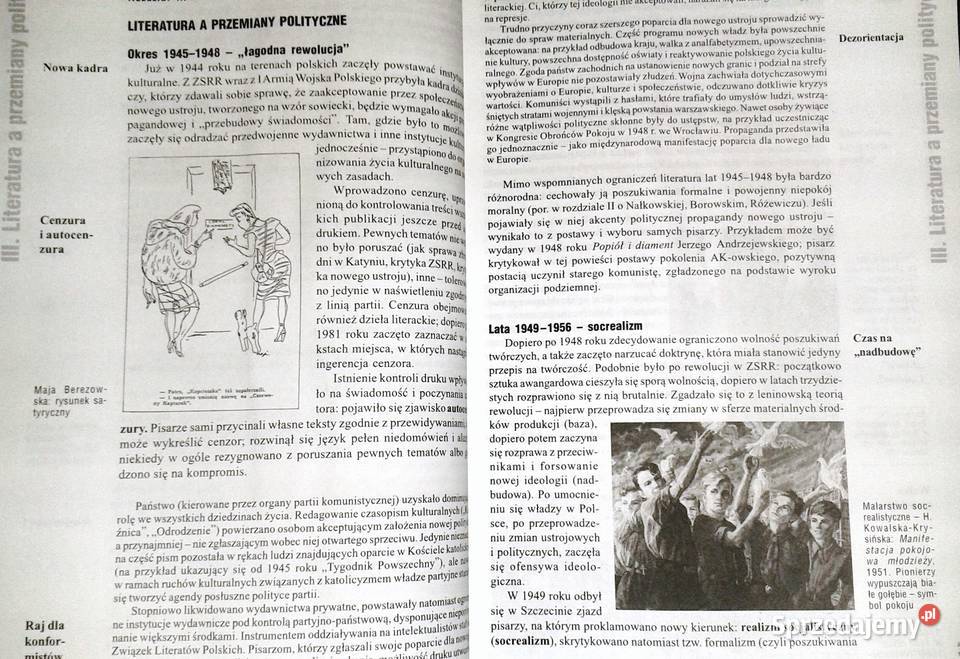 Literatura współczesna Anna Nasiłowska