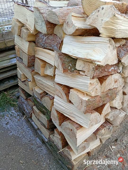 Sosna opałowa wielkopolskie Siekierki Małe sprzedam