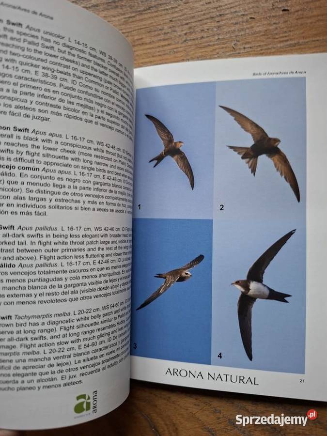 Birds of Arona A photogrphic guide j ang Kraków
