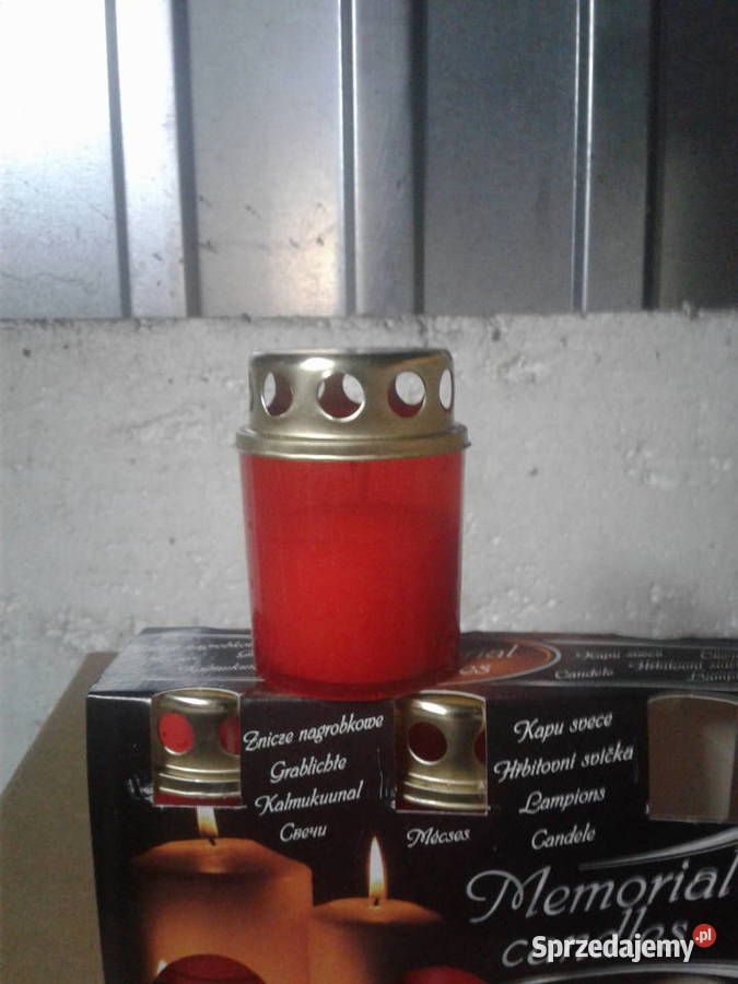 znicz mały Bydgoszcz