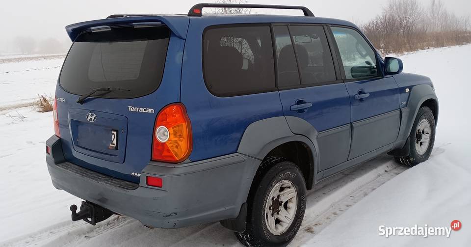 Hyundai Terrcan 29 CRDI hak Jerzmanowice