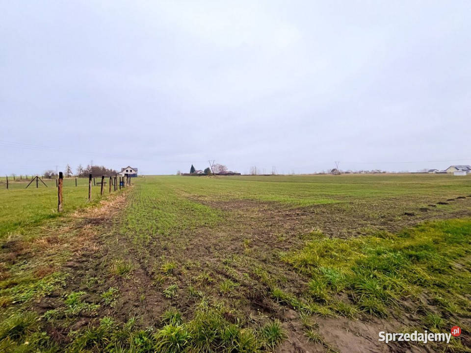 Działki na sprzedażświetna Sprzedaż