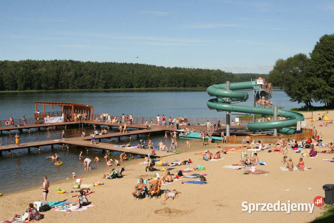 Kompleks 12 działek leśnych powierzchnia 369ha Sprzedaż Konopaty sprzedam