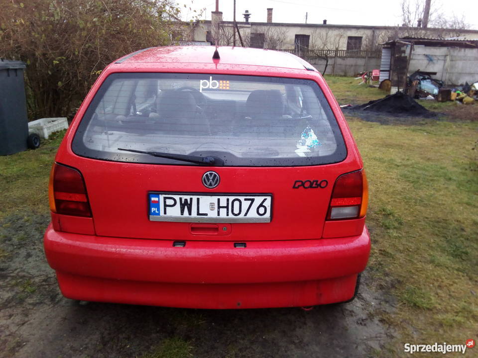 Volkswagen Polo 1.0 Sulechów Sprzedajemy.pl