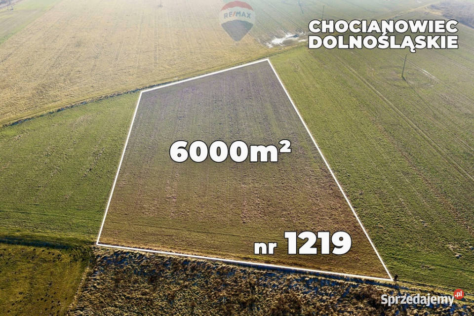 Okazja cenowa Duża działka Chocianowiec sprzedam