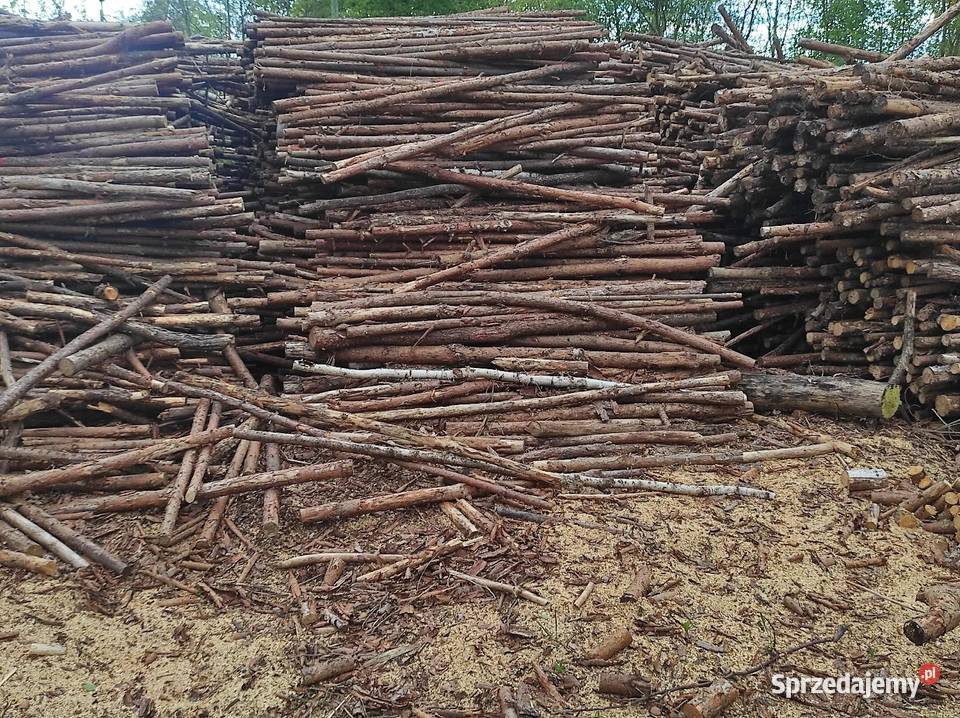 Drewno Opałowe Sosnowe workowane sypane luzem Polkowice