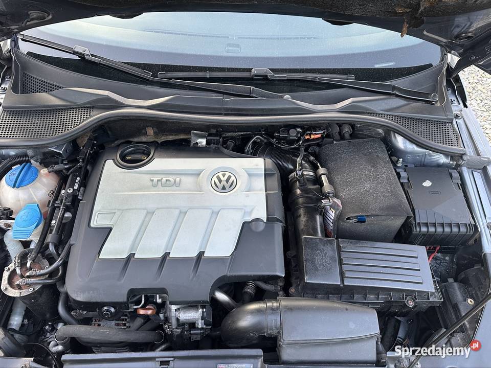 Volkswagen Scirocco Samochody osobowe Pilzno