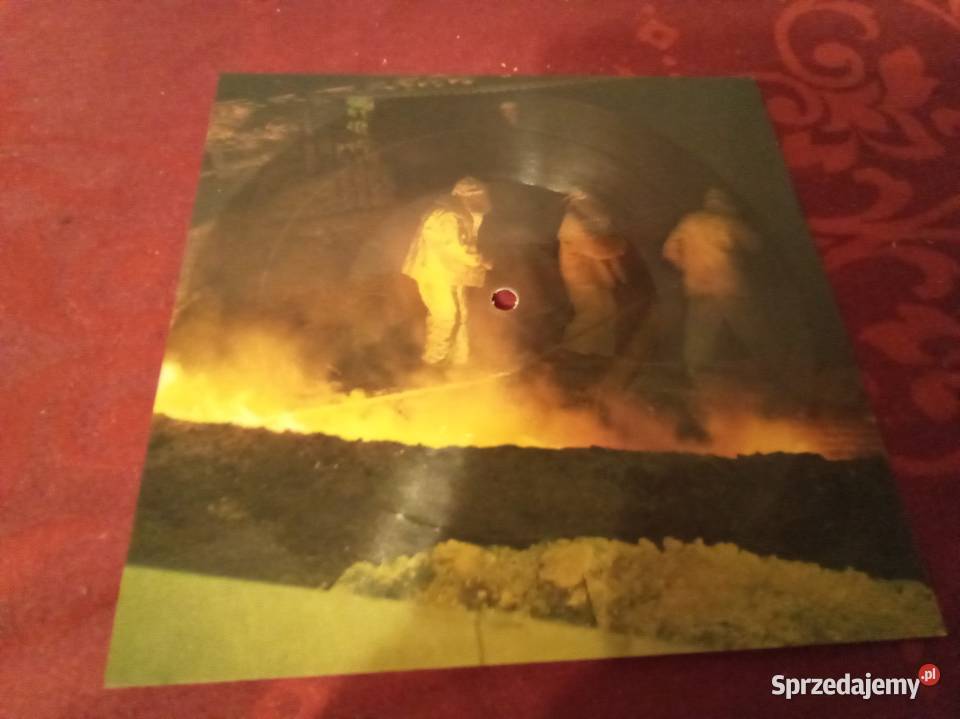 I need you Yellowstone i the house of rising