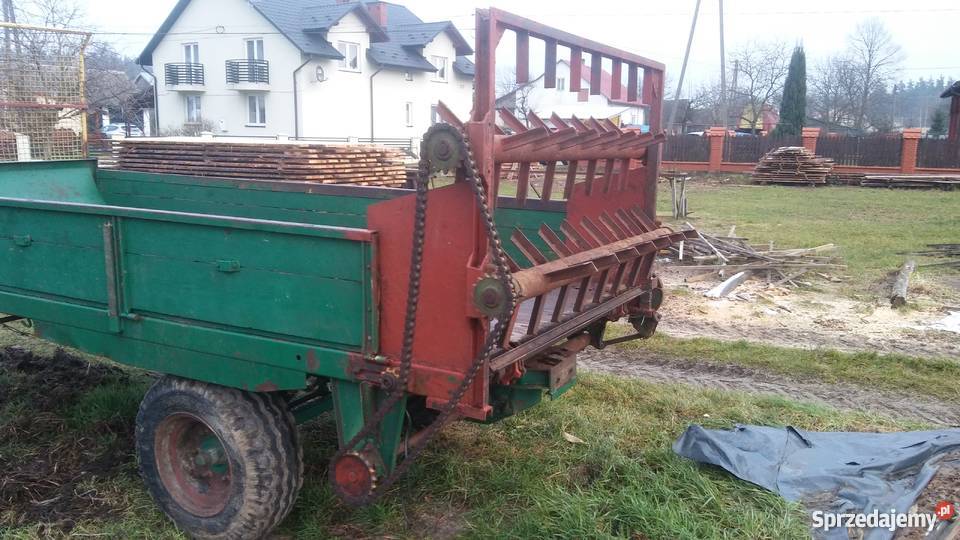 Rozrzutnik niemiecki Rzeszów