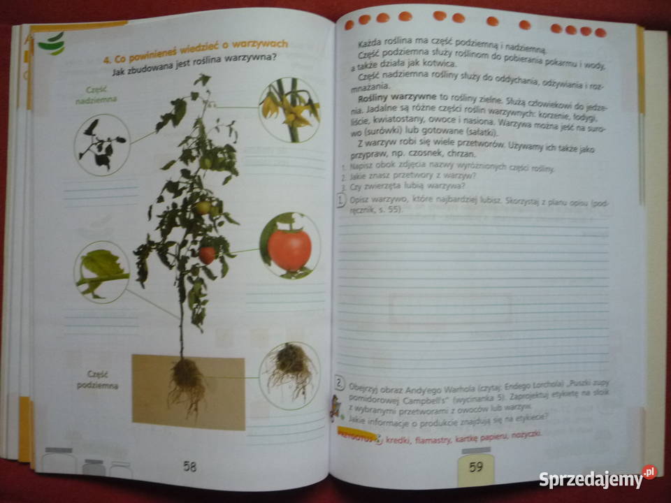 Nowe Ćwiczenia Ja i moja szkoła 2 cz 2 skrypt, zeszyt ćwiczeń, zbiór zadań, testów Szczecin sprzedam