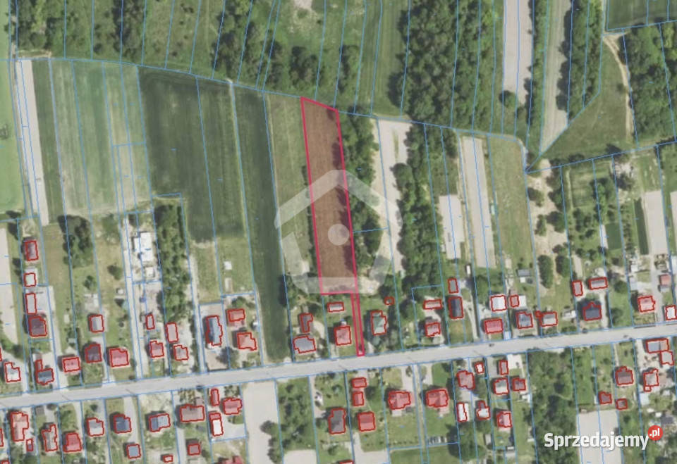 Działka budowlana 38 arów na sprzedaż Trzciana budowlana Sprzedaż sprzedam