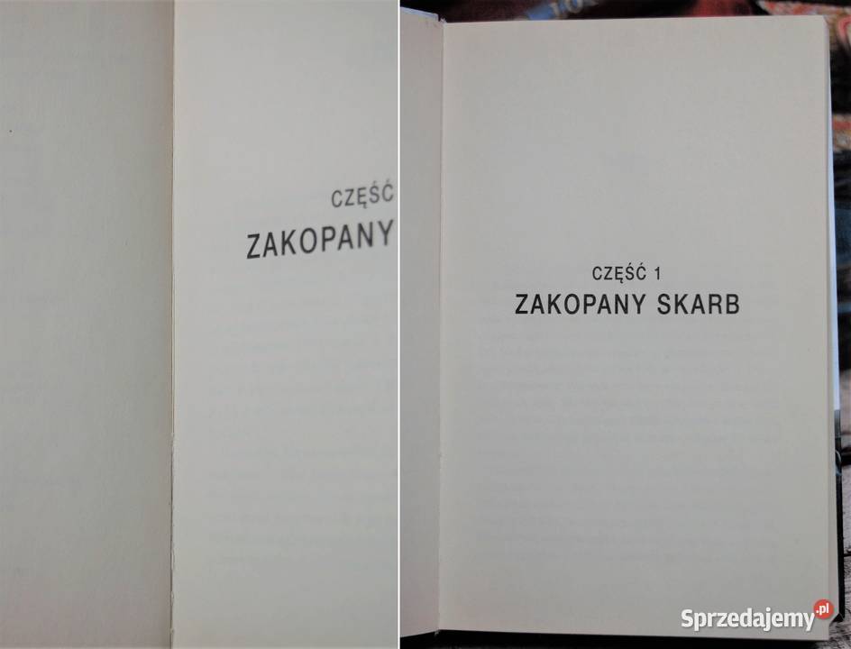 Stephen King Znalezione nie kradzione kryminał lubelskie Lublin