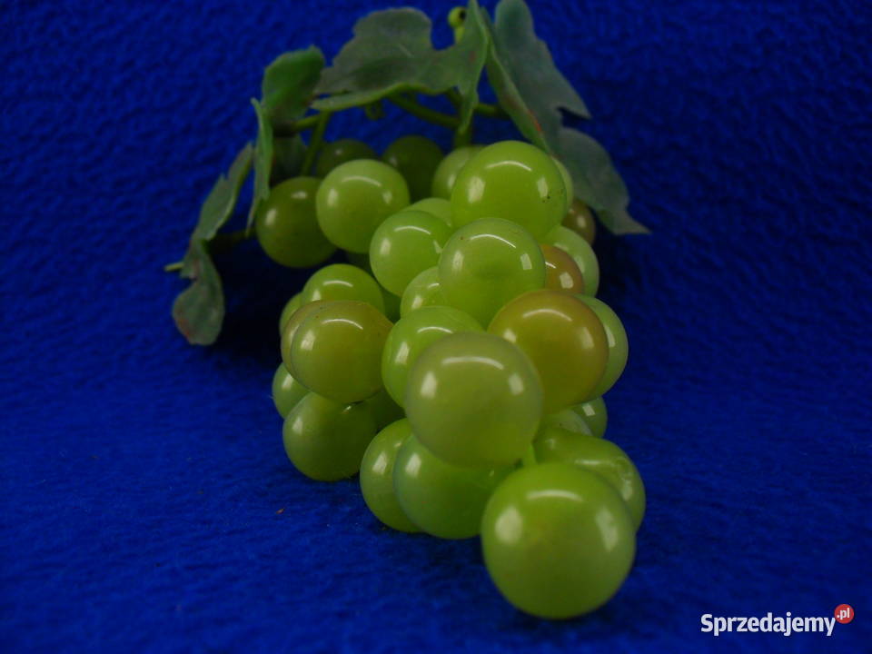 WINOGRONA DEKORACYJNE Bielawa