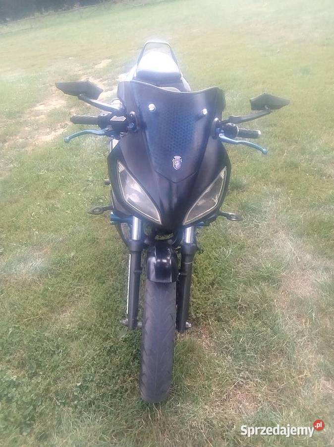 ZIP PRO 50 125 CC Lipno