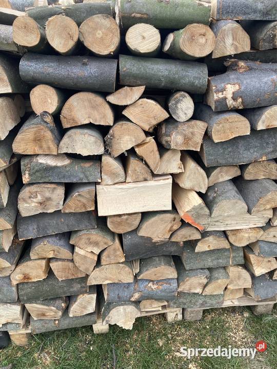 Drewno kominkowe Buk Orzesze