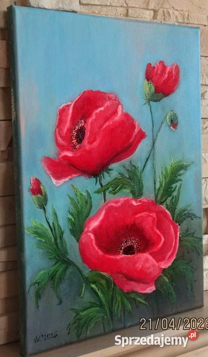 Maki polne lubelskie Bychawka Trzecia