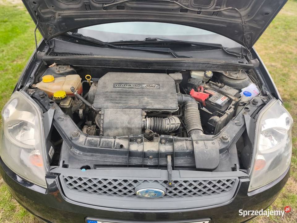 Ford Fiesta Pniówek
