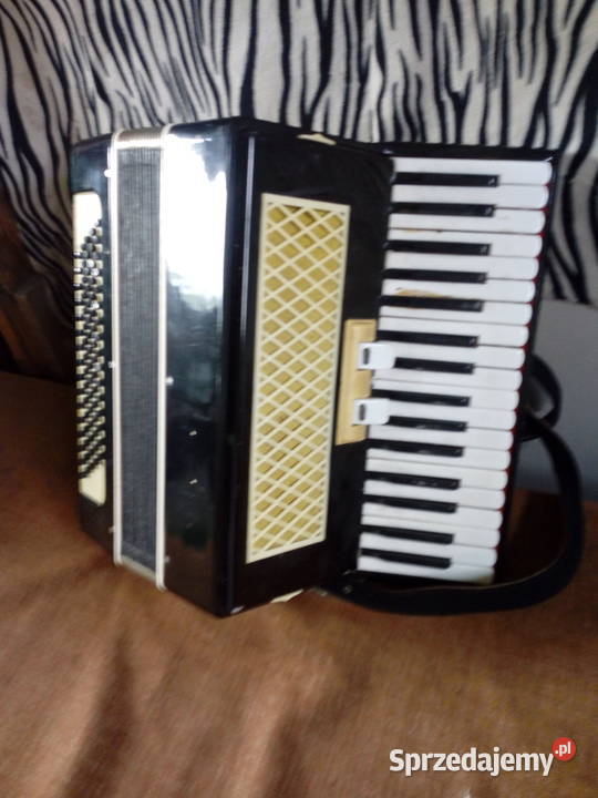 Tani akordeon Opole