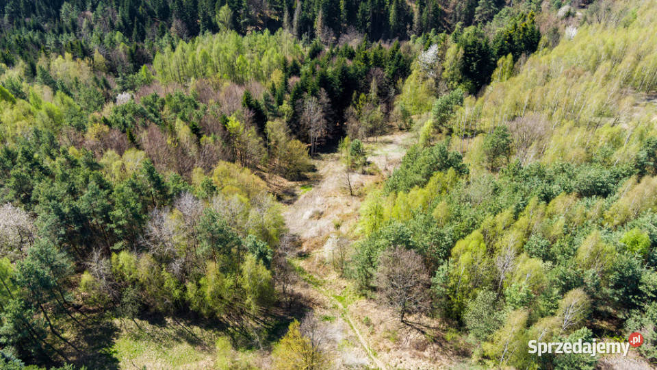 Na sprzedaż gospodarstwo rolne w Jastrzębi Jastrzębia sprzedam