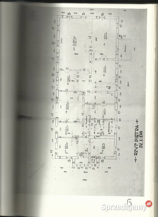 Pałac z budynkami gospodarczymi Kożuchów